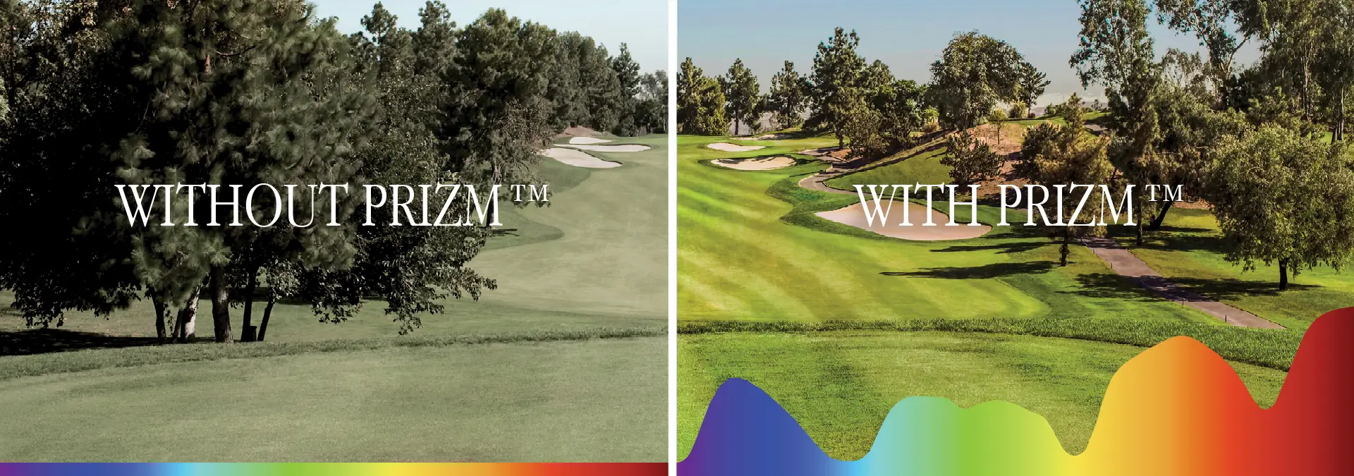 prizm-banner